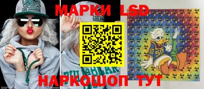 стаф Гатчина
