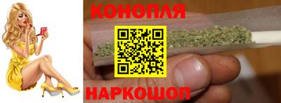 стаф Гатчина