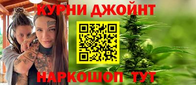 стаф Гатчина
