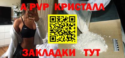 стаф Гатчина