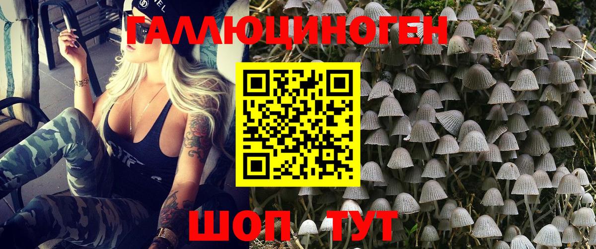 Галлюциногенные грибы Psilocybine cubensis  купить  сайты  Обь  Вход с VPN  Галлюциногенные грибы мицелий 