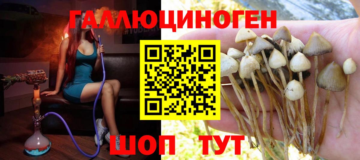 Псилоцибиновые грибы мухоморы Обь